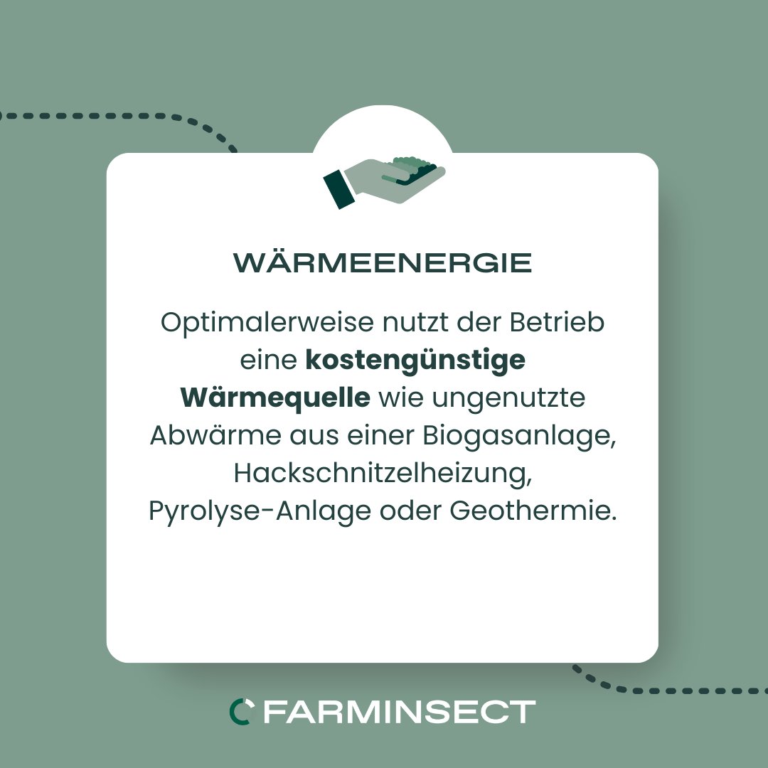 farminsect_eu's tweet image. 🌱 Nachhaltige Insektenzucht: Mit effizienter Wärmenutzung und Ressourceneinsatz machen Sie Tierfutterproduktion profitabler und umweltfreundlicher. 🌍🪲

Entdecken Sie mehr mit Farminsect! 

#Nachhaltigkeit #Tierfutter #FarmInsect
