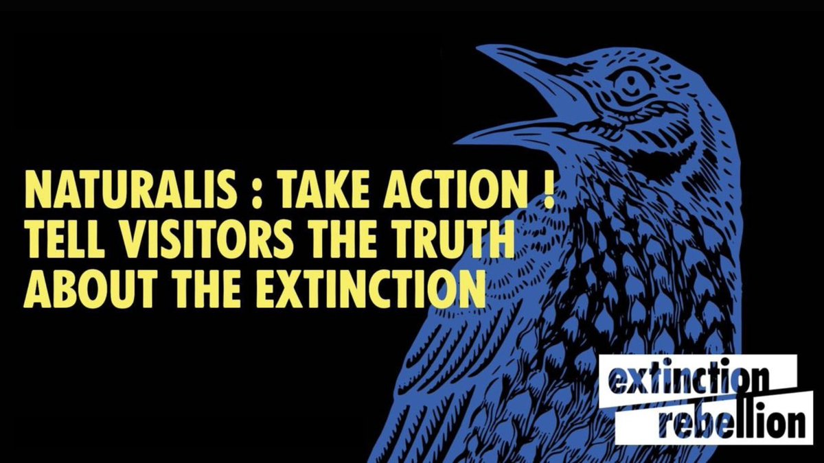 Afgelopen woensdag stuurden we een brief naar Naturalis, waarin we onze ernstige zorgen uitten over het gebrek aan voortgang na een jaar gesprekken over de mondiale biodiversiteitscrisis. We eisen dat Naturalis het publiek goed informeert. [1/3]