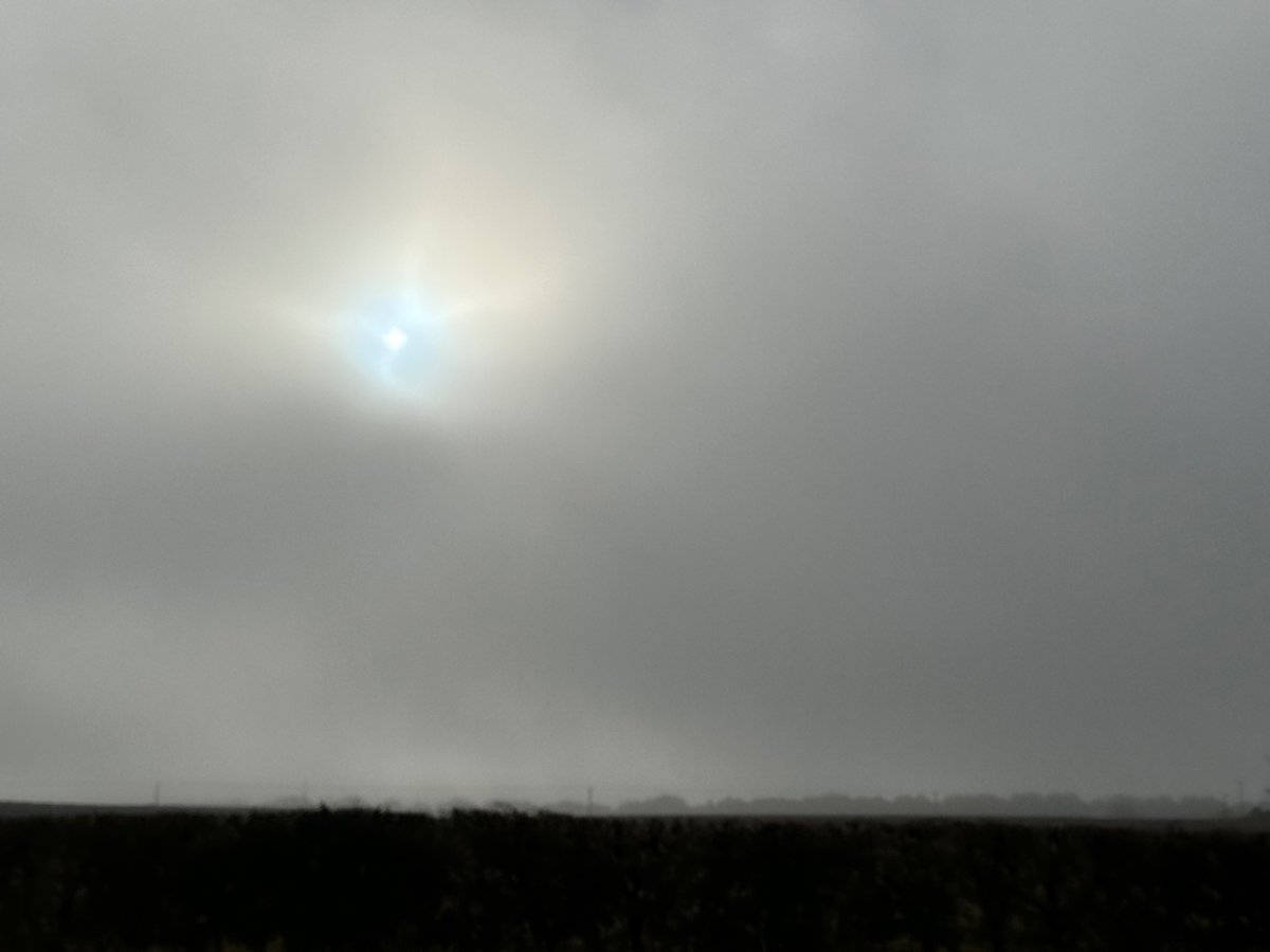 Sun is coming out now and should burn off this fog so we can go flying 👍😁✈️

POM Flying Club
#learntofly #generalaviation
#flying #flighttraining #flightexperience #flyingclub #gbpom #gselb #pomflyingclub #humbersideairport
gbpom.co.uk/trial.html