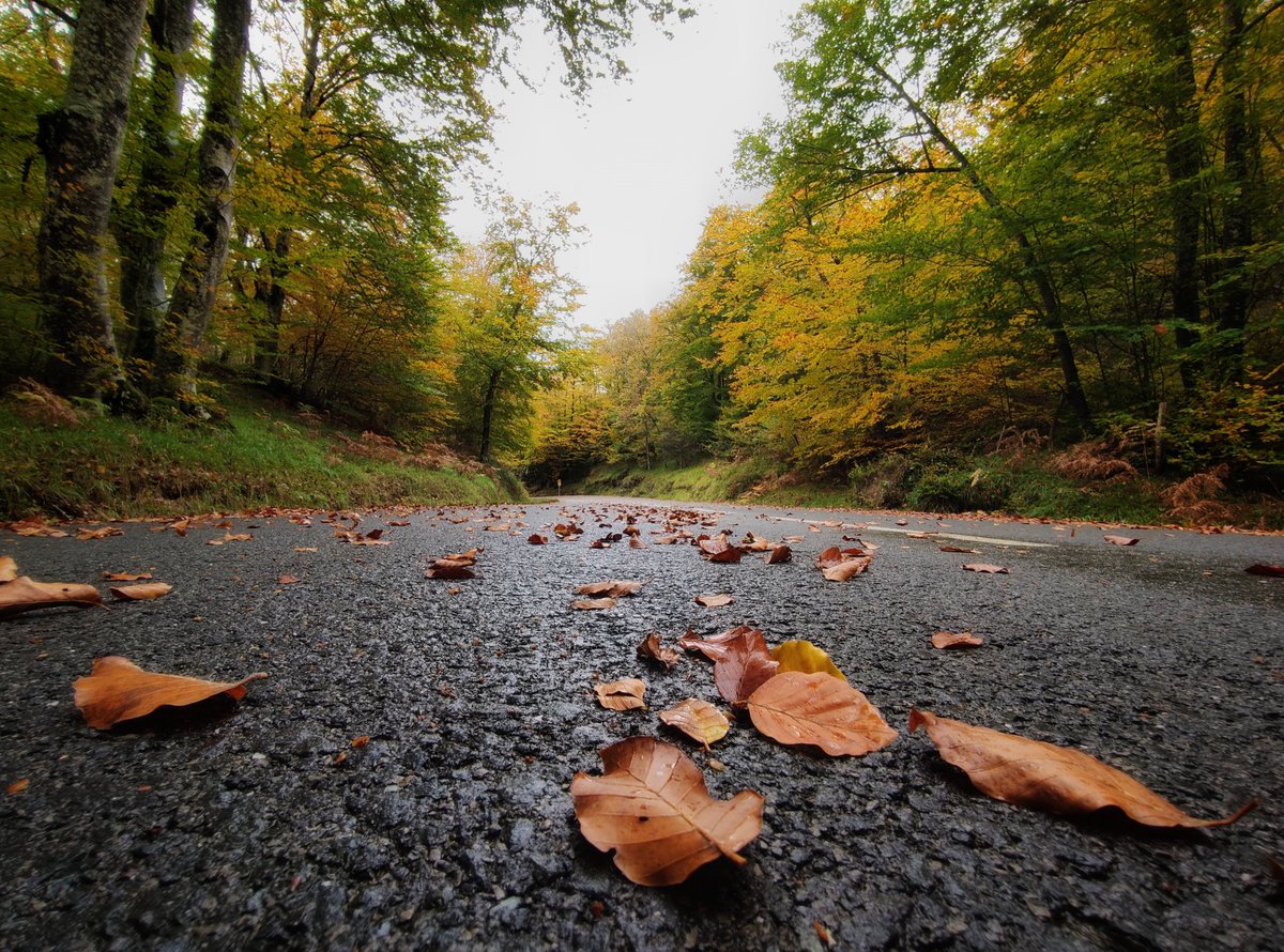 #errepidea 
#sasitxiotx 
#asteanbehin