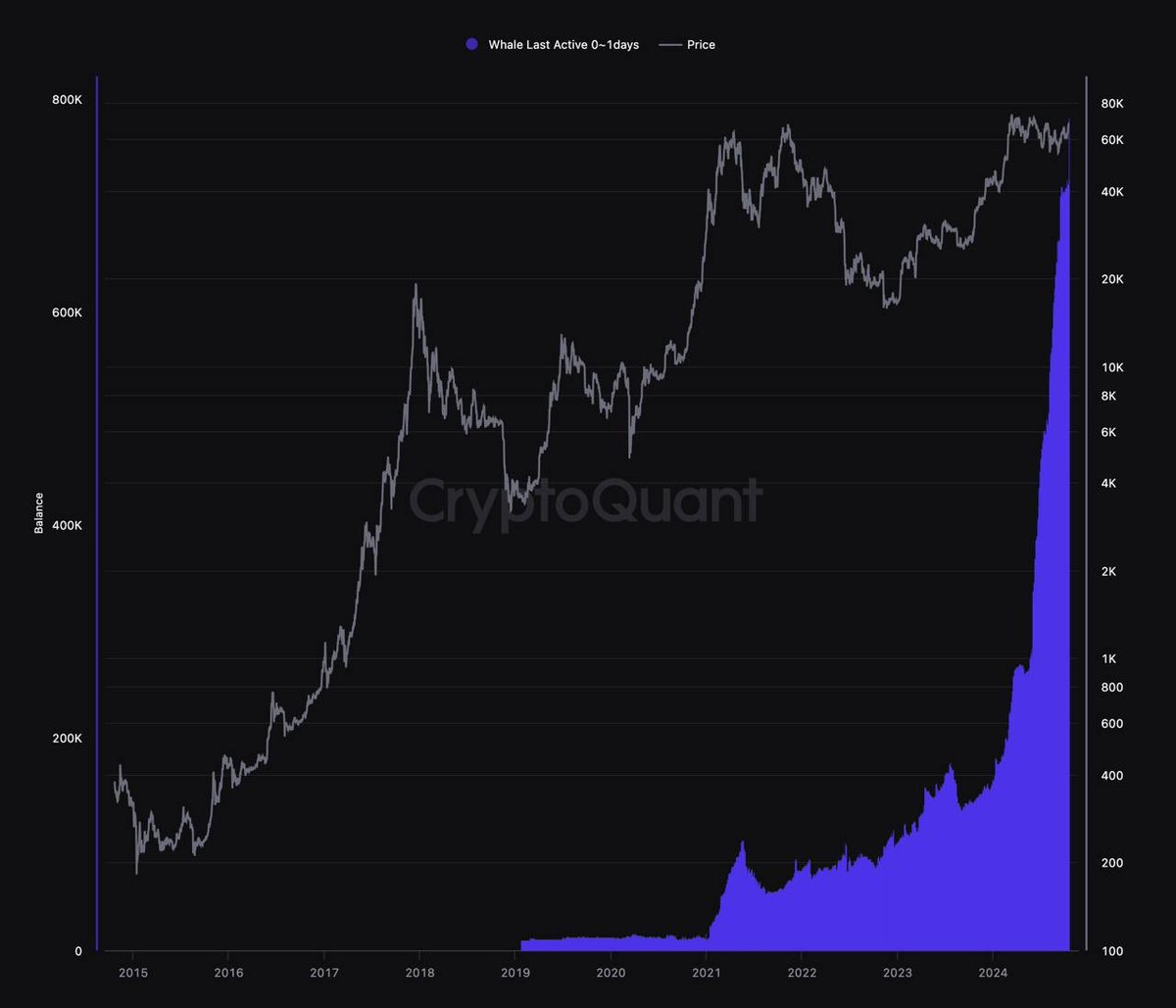 Never in the history of #Bitcoin have whales been buying $BTC this aggressive