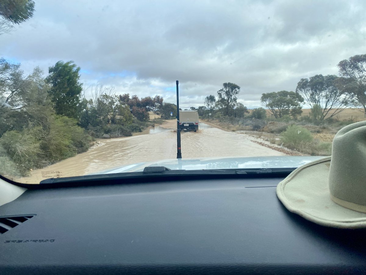 David Evans tweet media