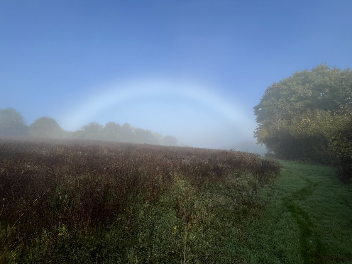 The Unhurried Reader tweet media