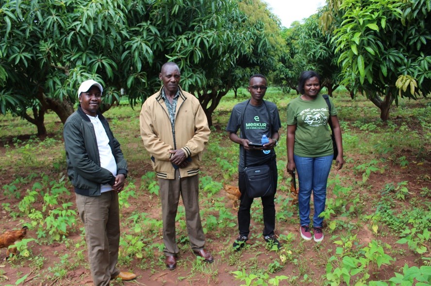 International Center for Evaluation & Development tweet media