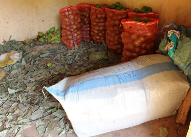 International Center for Evaluation & Development tweet media