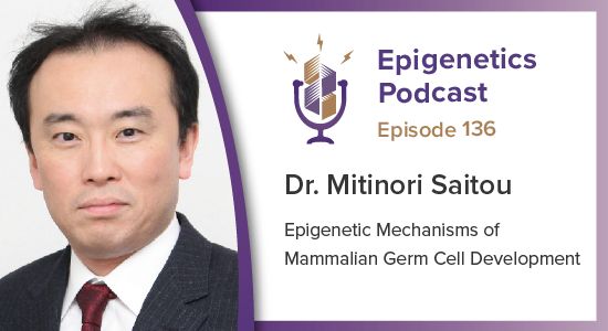 In this episode we talked with Mitinori Saitou from Kyoto University about his work on germ cell development, focusing on proteins like BLIMP1 and PRDM14 and reprogramming iPSCs. #podcast #epigenetics #chromatin

Listen here: activemotif.com/podcasts-mitin…