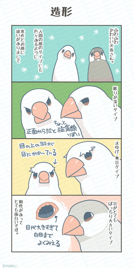 造形。

#Buncho #文鳥
 #漫画が読めるハッシュタグ 