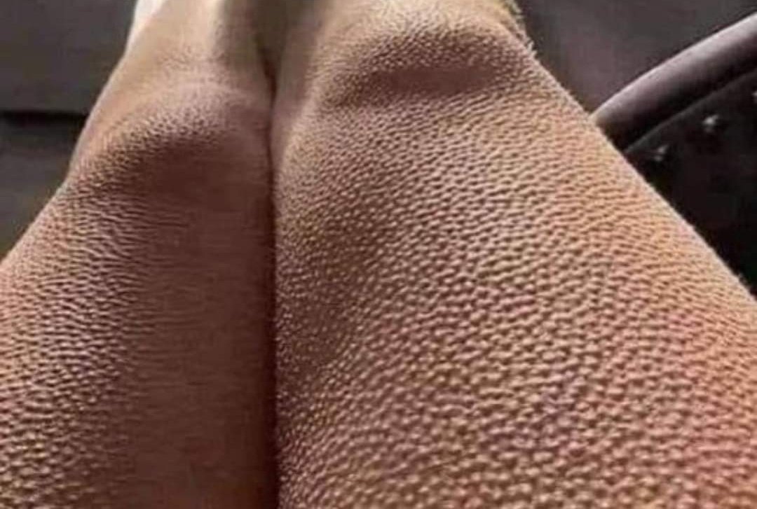 LeContempIateur's tweet image. Qu'est-ce qui peut te procurer ce genre de sensation ?