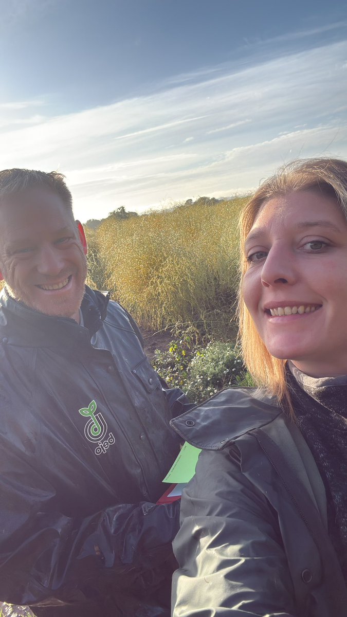 ClaireMich89's tweet photo. Even in the wet &amp; cold we manage a smile! Assessing #asparagus ferns for a couple of days. Excited to see our new potential varieties for the UK Market. Bring on the spring! @Elsomsseeds @BejoBenelux https://t.co/slm0dSUCe6