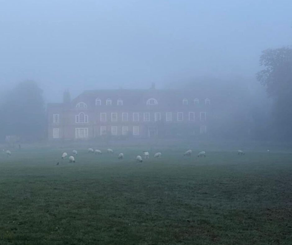 WHorsleyPlace's tweet photo. Misty mornings always remind us of the opening of #bbcghosts!

This Halloween we have a day to celebrate the show at 'Button House'. Join us Wed 30 Oct for a spooktacular fan open day.

Find out more: https://t.co/dT21m4xe4D

#setjetting #mistymorning #buttonhouse https://t.co/2Gt3j3b66J