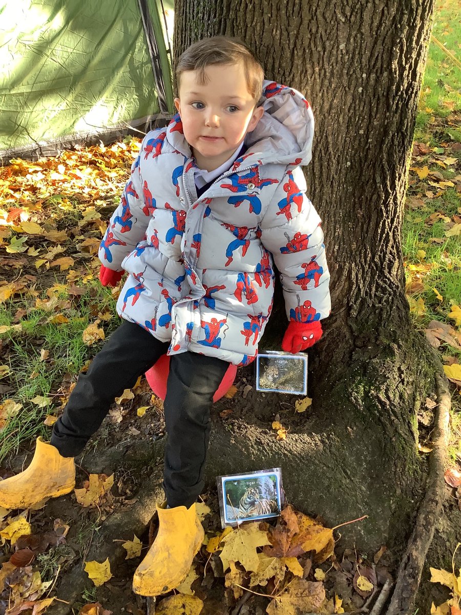 CranfordParkCE's tweet photo. #YearR had fun in #forestschool building enclosures for their zoo animals. There was even time to look at some wonders of nature - mushrooms and a wasp gall.
Today's outdoor story was Cold Paws, Warm Heart by Madeleine Floyd.
#autumnfun๐ #outdoorlearning https://t.co/svpimPWUFn