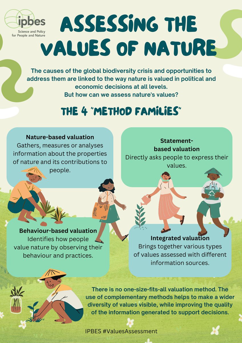IPBES's tweet image. Transformative change is needed to address the global biodiversity crisis, including incorporating the diverse values of nature into political and economic decisions. 🌎

- @IPBES #ValuesAssessment

ipbes.net/the-values-ass…