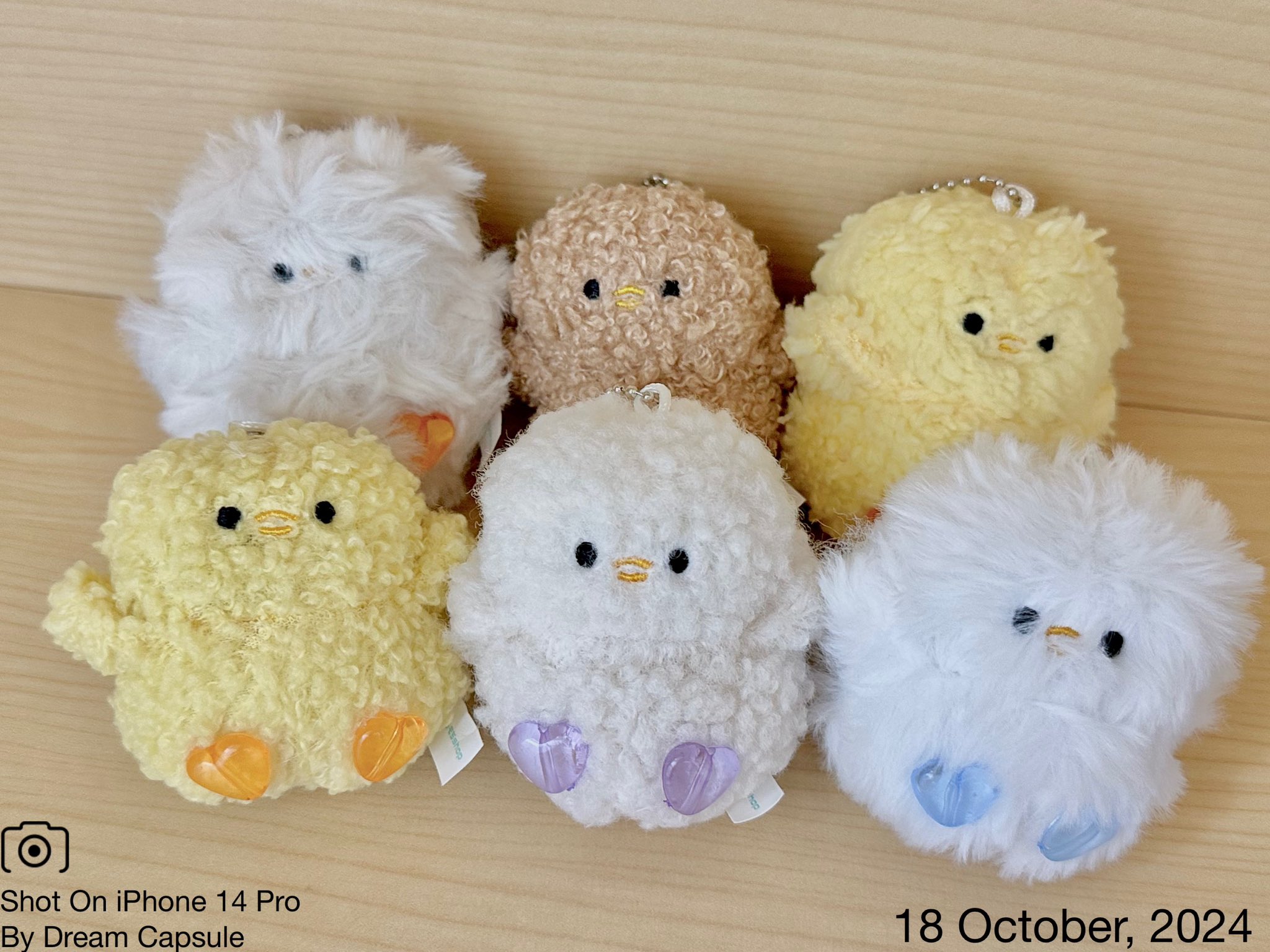 【みどりがめさん専用】すくすくドリルひよこ6〜10セット おまけ付き ドリームカプセルの中の人【公式】 on X: 