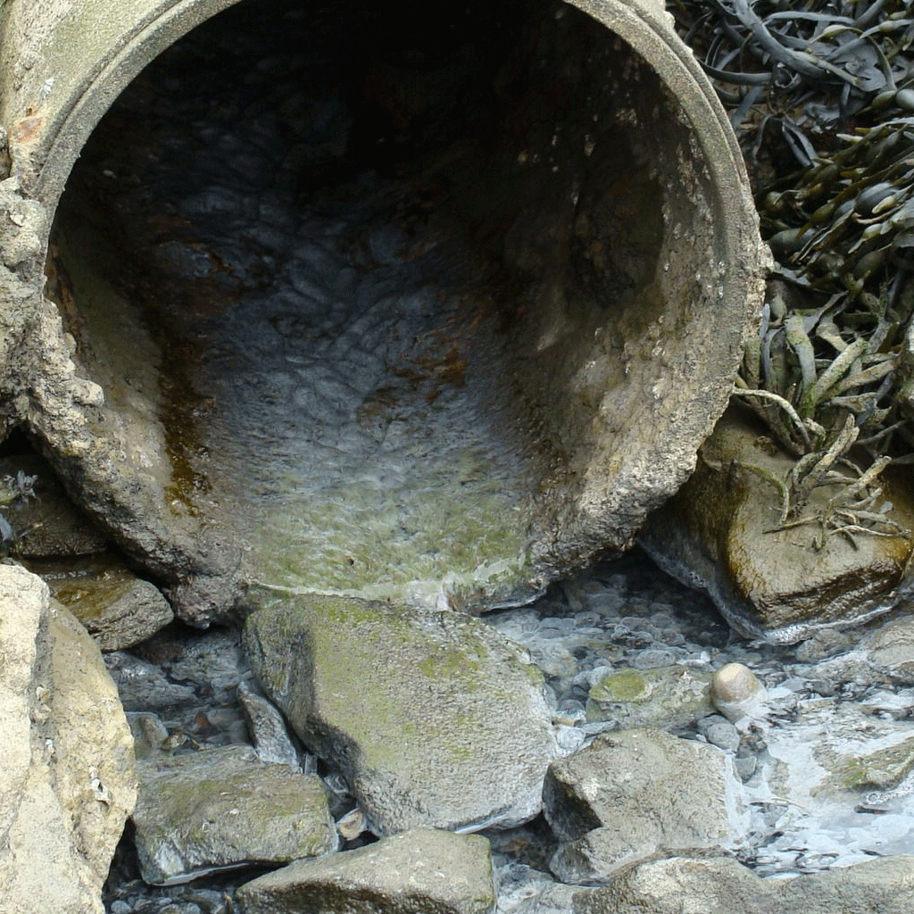 Sustainable Water Network (SWAN) (@swanireland) on Twitter photo If you watched Prime Time last night about water pollution from Uisce Eireann & want to know more about what is happening and what needs to be done about it, read this thread 🧵
#rtept If you watched Prime Time last night about water pollution from Uisce Eireann & want to know more about what is happening and what needs to be done about it, read this thread 🧵
#rtept