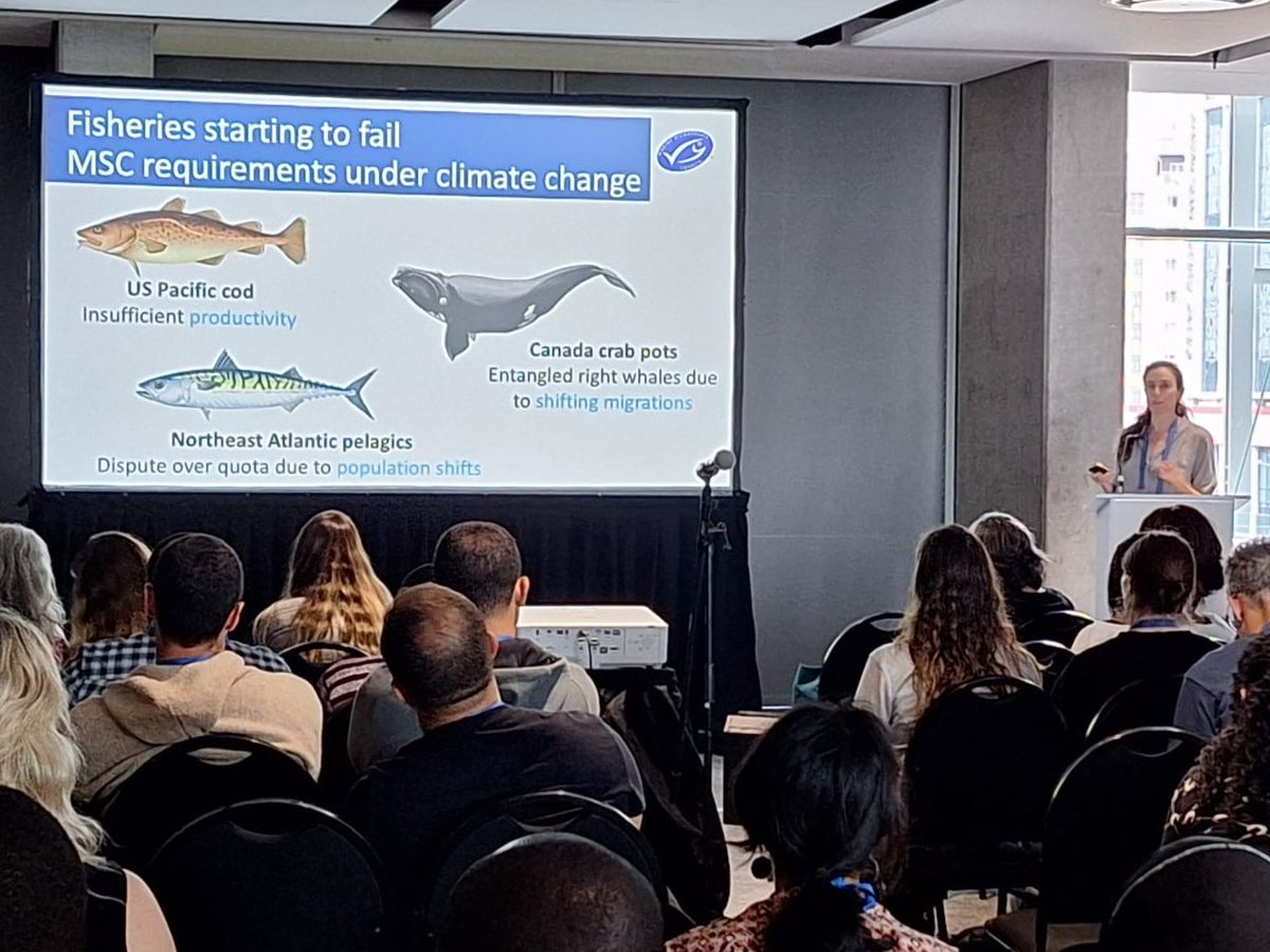 MSCecolabel's tweet photo. ππ Yesterday at the International Marine Conservation Congress #IMCC7 in Cape Town, MSC researcher @KT_longo presented a climate change risk assessment that highlights hotspots of future risk to #SsustainableFishing
π Understand more: https://t.co/VbXxDYpZFn #MSCecolabel https://t.co/L8k1dH90UA