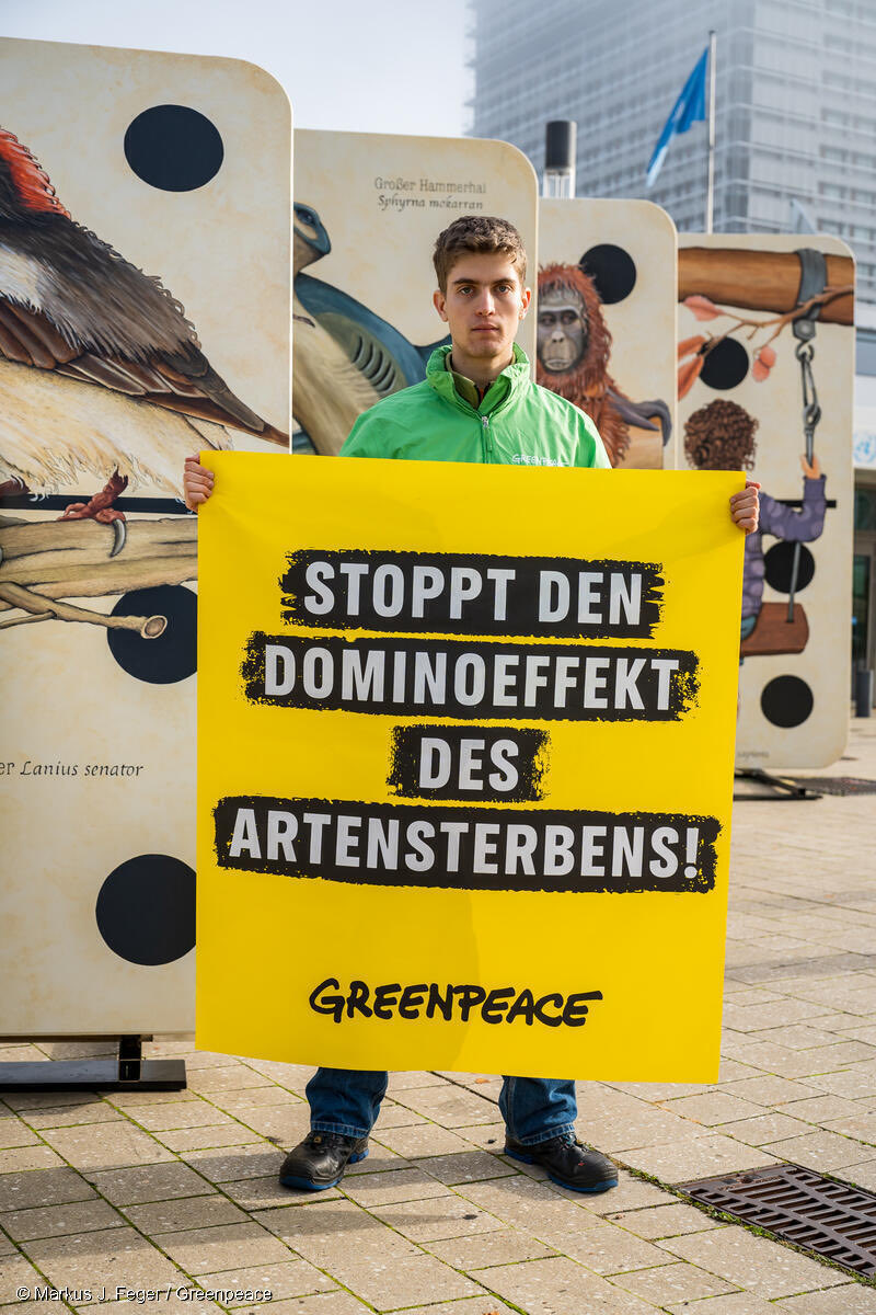 Die anstehende UN 🇺🇳Weltnaturkonferenz in 🇨🇴 muss auch für #Deutschland ein klares Signal sein, zu ihren Finanzzusagen zu stehen und das #Weltnaturabkommen mit ambitionierten Strategien und Gesetzen in 🇩🇪 umzusetzen! 
⁦<a href="/OlafScholz/">Olaf Scholz</a>⁩ ⁦@BMUV⁩ ⁦<a href="/BMZ_Bund/">Bundesentwicklungsministerium</a>⁩ 
#CoP16
