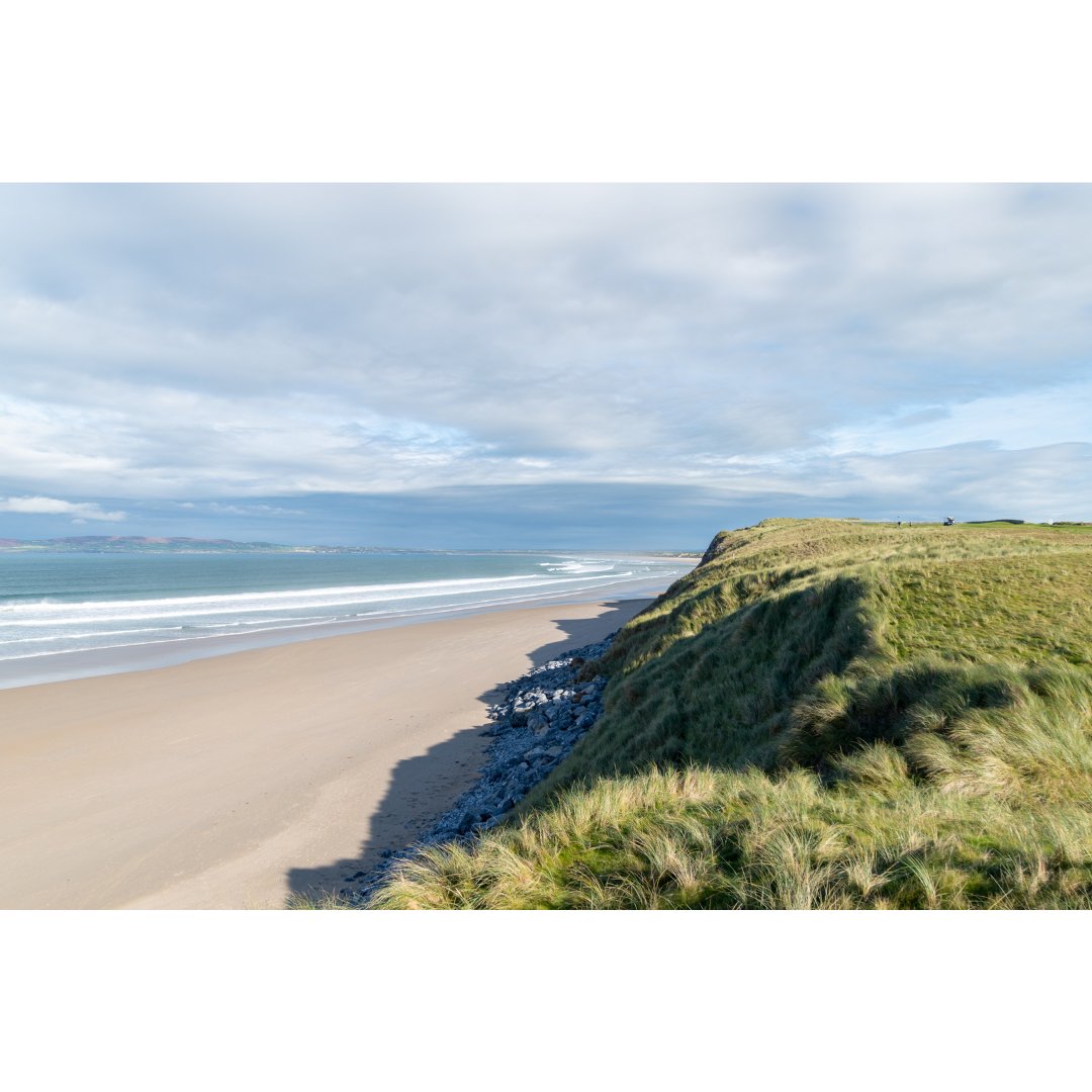 Visit Tralee tweet media