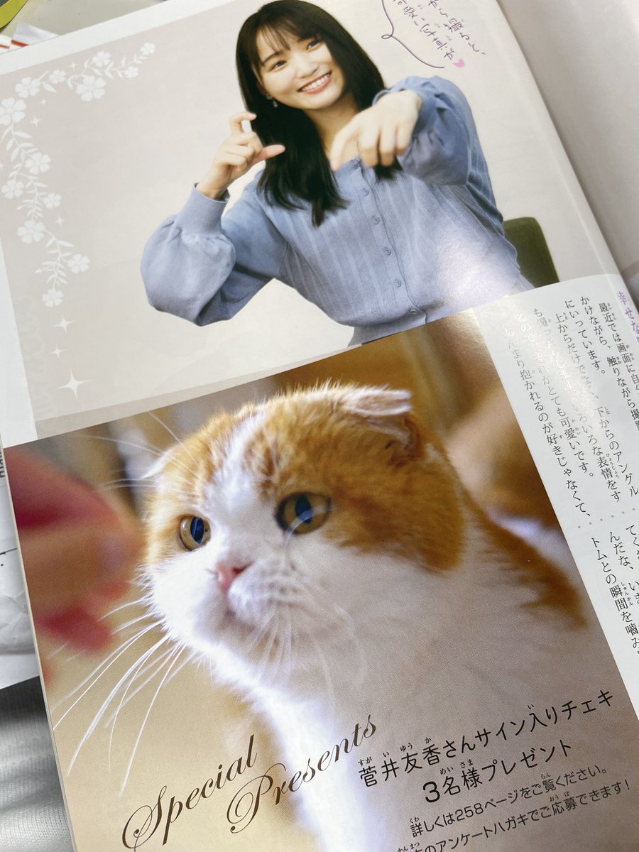 ねことも12月号絶賛発売中です！ 表紙は女優の菅井友香さんと 愛猫の