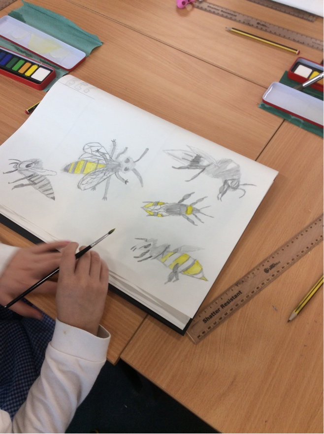 BraunstoneCPS tweet media