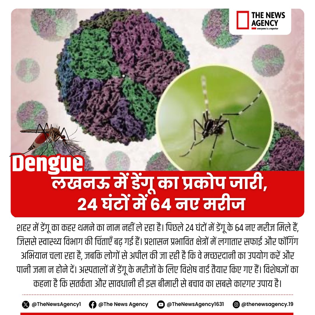 TheNewsAgency1's tweet photo. #Dengue #mosquitoe #Lucknow #UttarPradesh https://t.co/d6aYOeeHi8