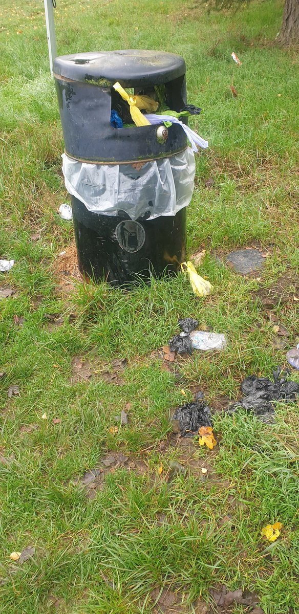 cyclebirdman's tweet image. Can you please empty the bins at Moneyhole Park, absolutely over flowing
@WelHatCouncil