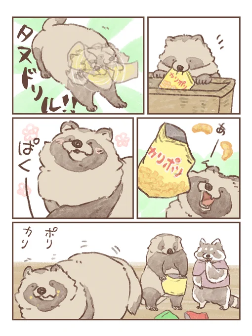 #たぬき #アライグマ #アナグマ
#嫁のたぬきストーリー

新しい味 