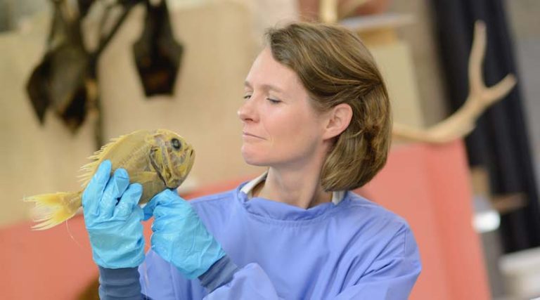 Hors d'Oeuvre tweet media