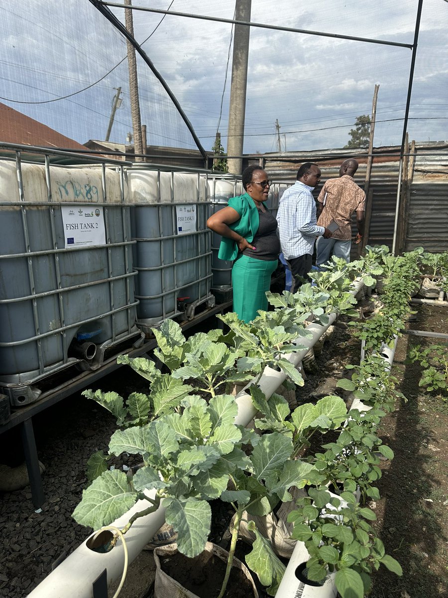 Here in Kisumu we had the opportunity to see the impactful work of the local Food System Lab. They have set up aquaponic systems, urban gardens and improved the diets of slum dwellers through effective nutrition education. Dialogue with communities is key #H2020 #FoodSystems