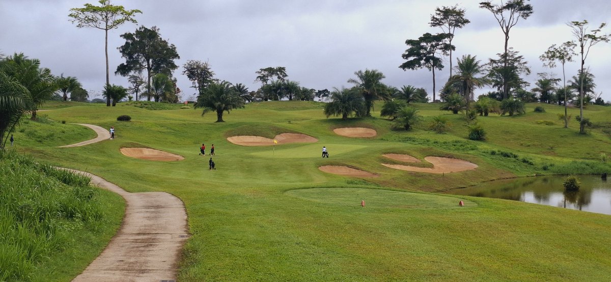 Edgard Mbela tweet media