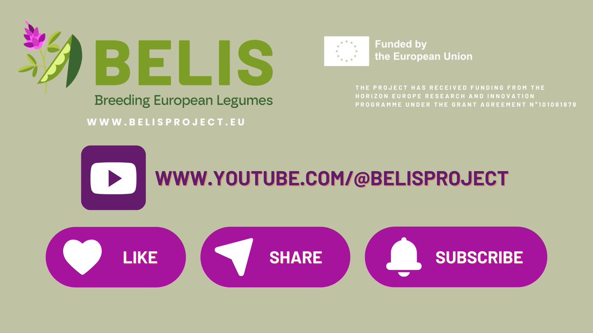 BELIS Project (@belis_eu) on Twitter photo 📢 Check out the video summary of <a href="/BELIS_EU/">BELIS Project</a> 2024 Annual Meeting in Ghent !
Now available on the <a href="/BELIS_EU/">BELIS Project</a> YouTube Channel ! 👇
youtu.be/Z3dedNgsG4s?fe…
<a href="/HorizonEU/">Horizon Europe 🇪🇺</a>
#breeding #innovation #sustainability 📢 Check out the video summary of <a href="/BELIS_EU/">BELIS Project</a> 2024 Annual Meeting in Ghent !
Now available on the <a href="/BELIS_EU/">BELIS Project</a> YouTube Channel ! 👇
youtu.be/Z3dedNgsG4s?fe…
<a href="/HorizonEU/">Horizon Europe 🇪🇺</a>
#breeding #innovation #sustainability