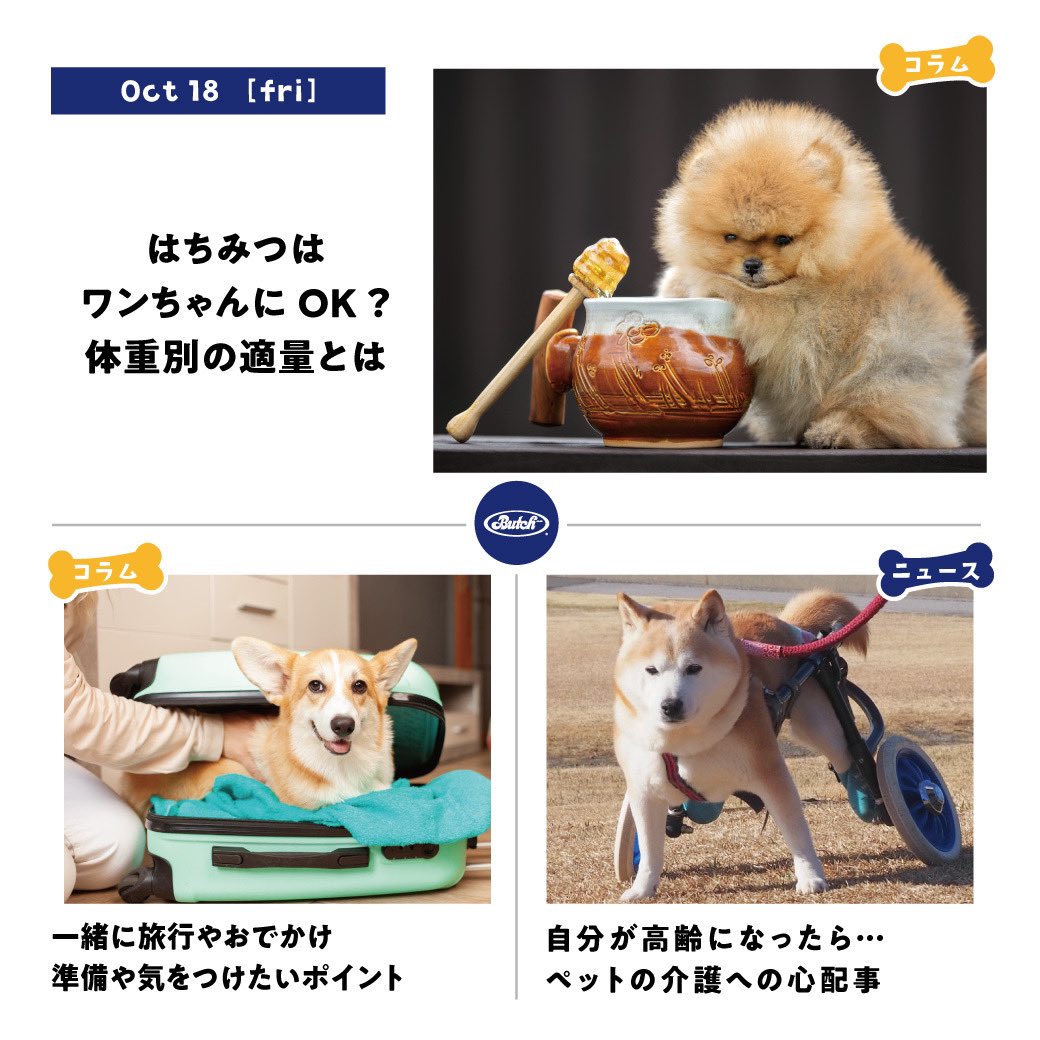 ブッチになります ブッチ(butch.japan )が復活、一部のペテモで今日から先行販売という