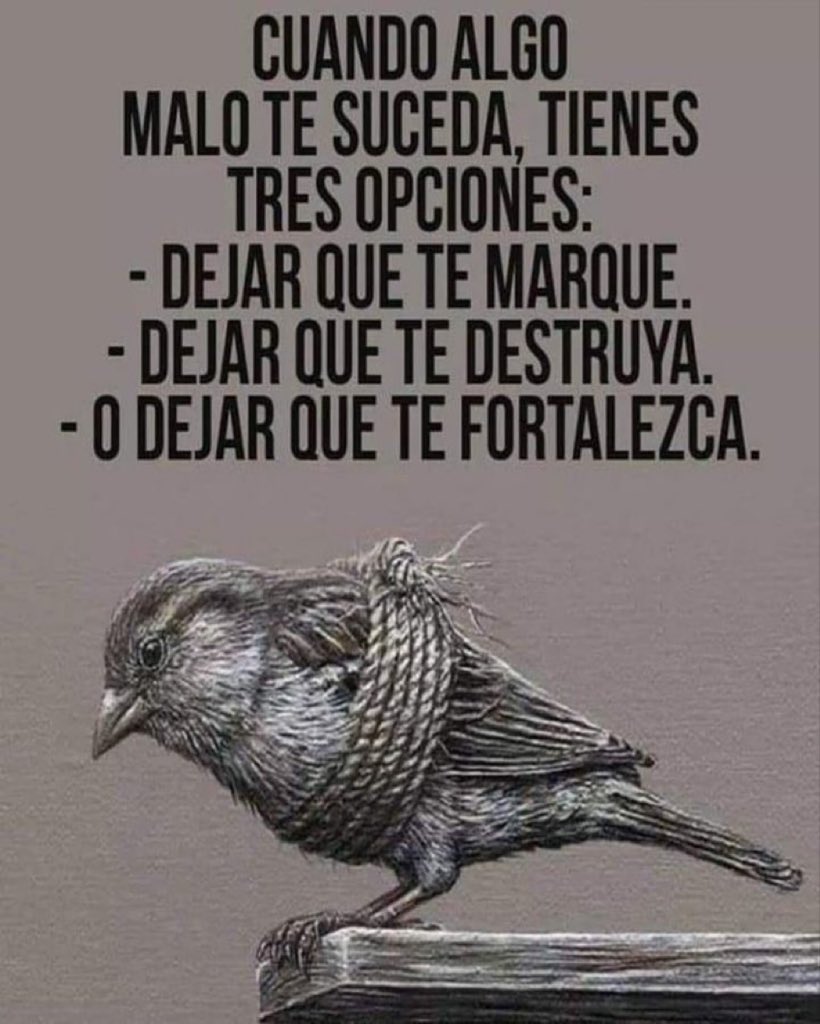Rlopez315's tweet photo. https://t.co/Av6bQIaygX