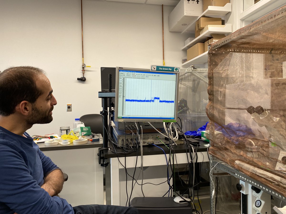 Harraz_Lab's tweet photo. So proud of the rotation student in our lab @Asser_Fawzy for his first successful single channel recording! https://t.co/YmDSzaEemi