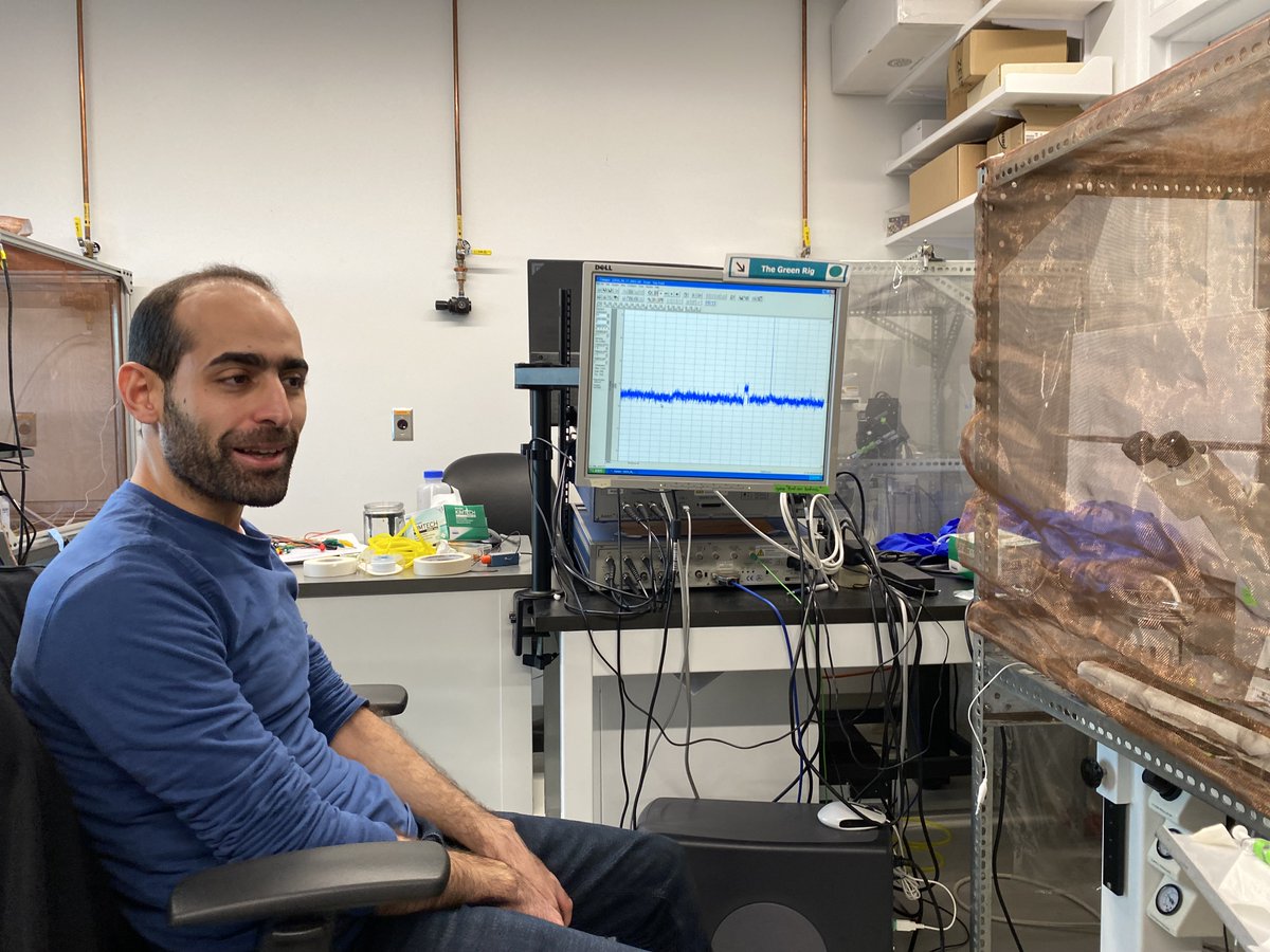 Harraz_Lab's tweet photo. So proud of the rotation student in our lab @Asser_Fawzy for his first successful single channel recording! https://t.co/YmDSzaEemi