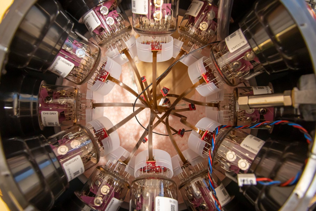 Marco Kraan tweet media