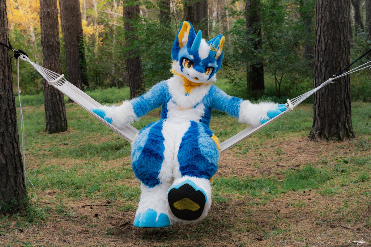 #FursuitFriday 
📷：白白记得带卡
秋季见凉，各位记得多穿衣服呀～
🐉🉐