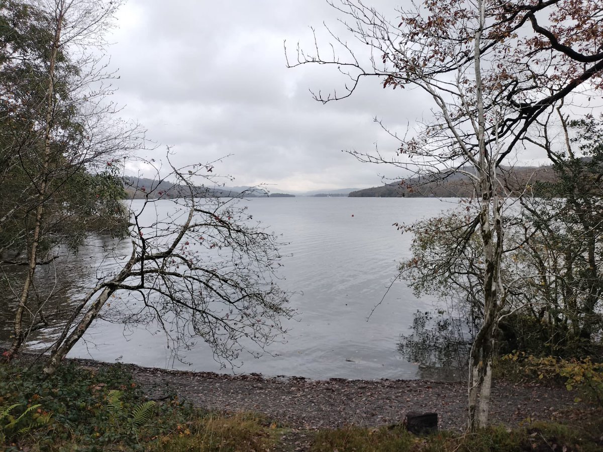 AHS Year 7 tweet media