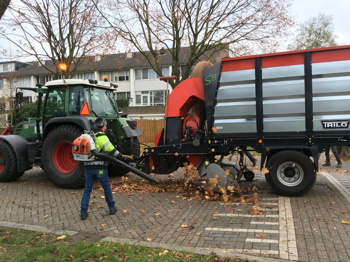 De herfst is weer in volle gang! 🍂 Onze collega's houden de buitenruimte netjes door bladeren op te ruimen waar nodig. 

Wist je dat herfstbladeren gezond zijn voor de grond en dieren? Laat ze gerust liggen in je tuin! 🍁 #herfst #milieu