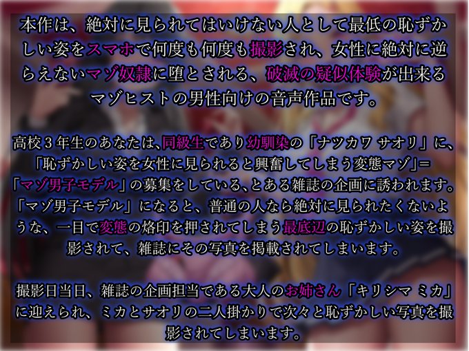 「あらすじ」、「あれば本作をより楽しめる物」、「キャラ紹介」です 