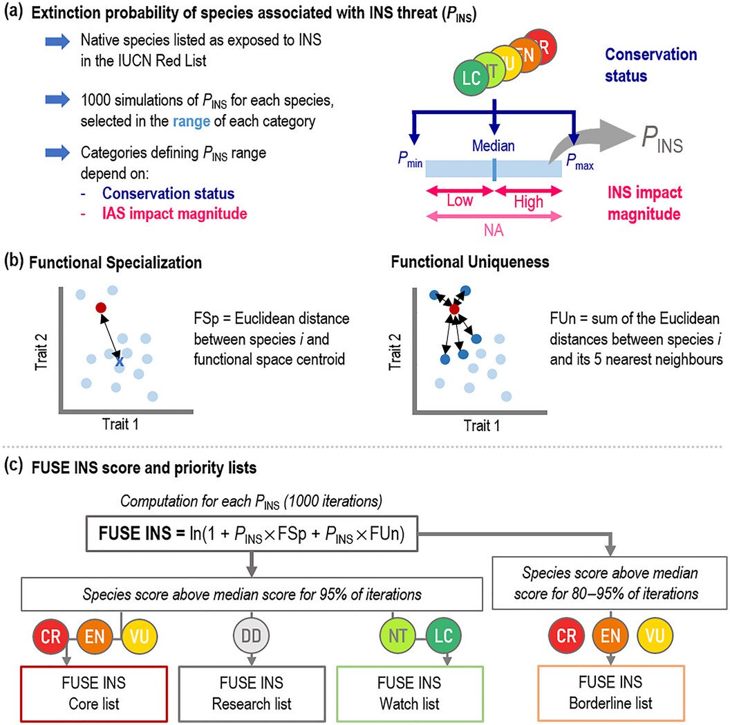 Céline Bellard, @celinebellard.bsky.social tweet media