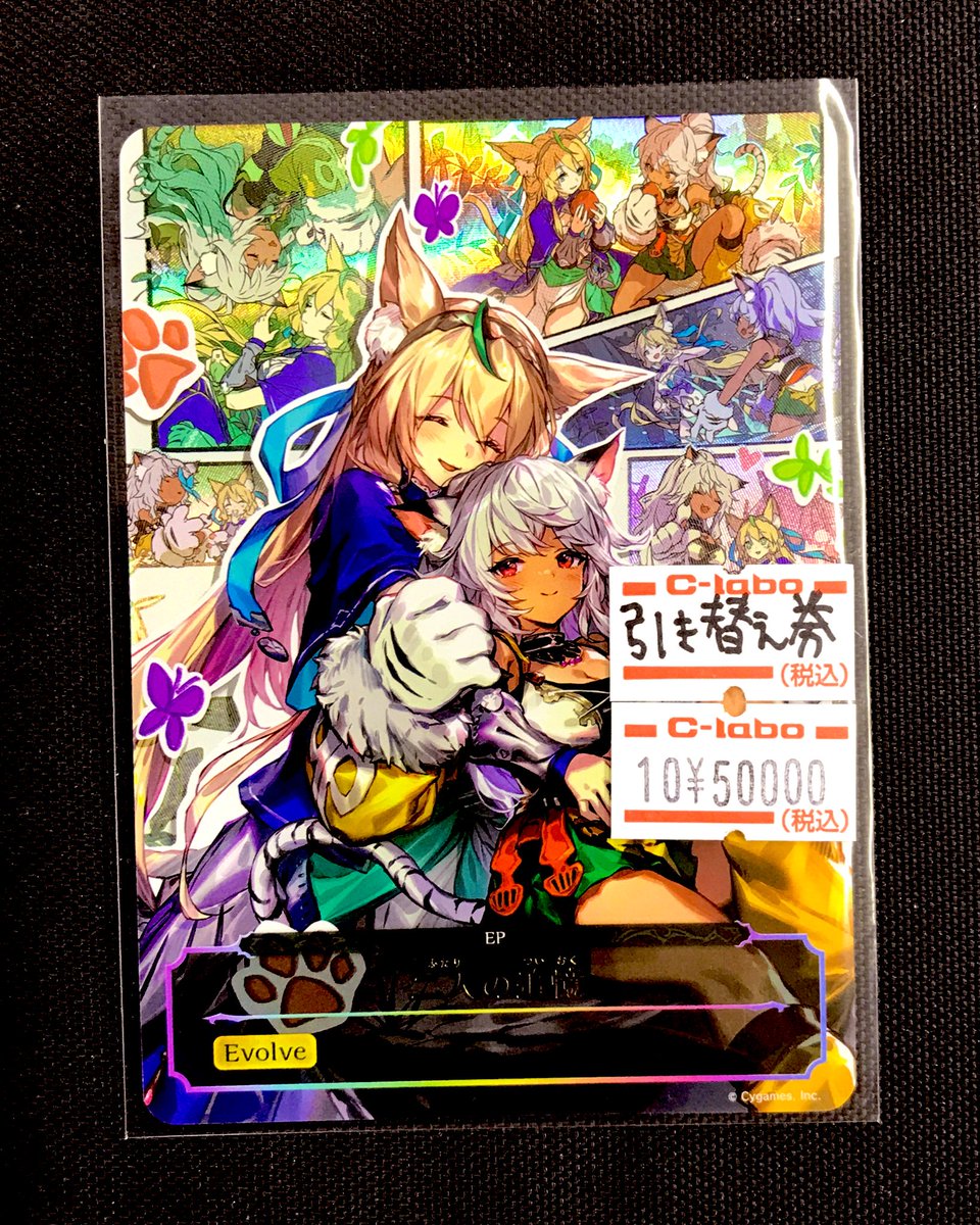 Shadowverse EVOLVE 販売情報】 《二人の追憶》 応募券 ¥50,000