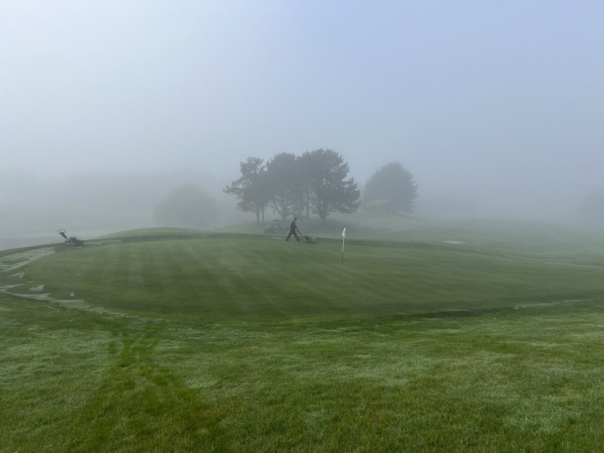 Misty morning handcutting greens