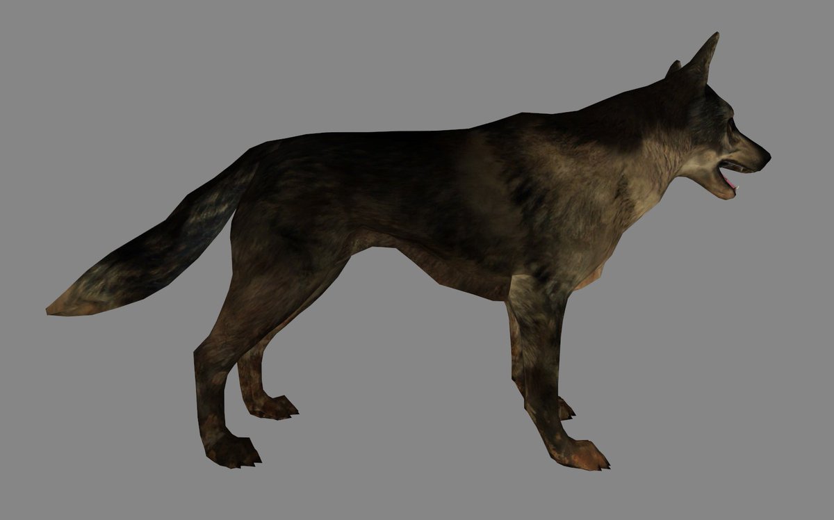 Hopper31 tweet media