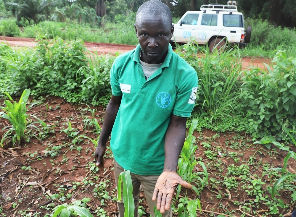 CABI_News's tweet photo. Climate change pests threaten food security in South Sudan, where 86% of rural households rely on farming, worsening food insecurity.🌽🐛

CABI’s Plantwise program aims to improve access to plant health services and strengthen government support.

👉https://t.co/OFkMPZeZC8 https://t.co/XqFI2twusY