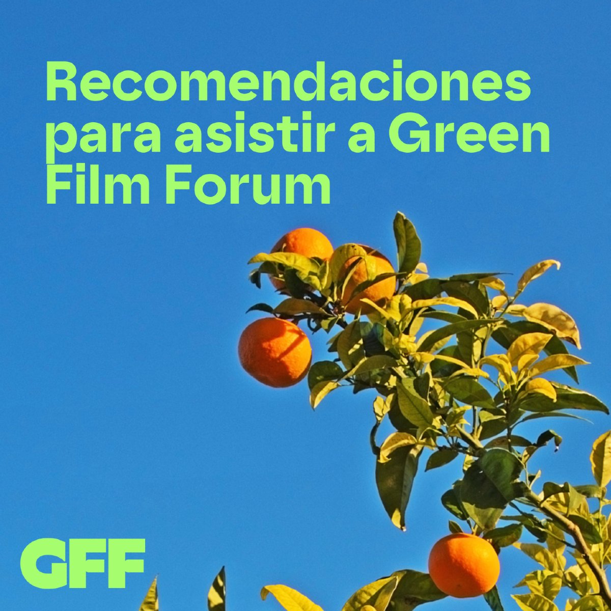 Green Film Forum tweet media