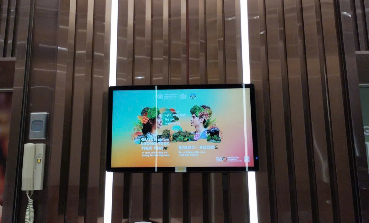 FAOVietNam's tweet photo. World Food Day is your day. If you're in Ha Noi, Da Nang, or Ho Chi Minh City, keep an eye out for the #WorldFoodDay image near airports, downtown, and in buildings! 🙌  Big thanks to Goldsun Media and Focus Media JSC for supporting #WorldFoodDay2024 in Viet Nam 🇻🇳! https://t.co/EqHsWIYDWl