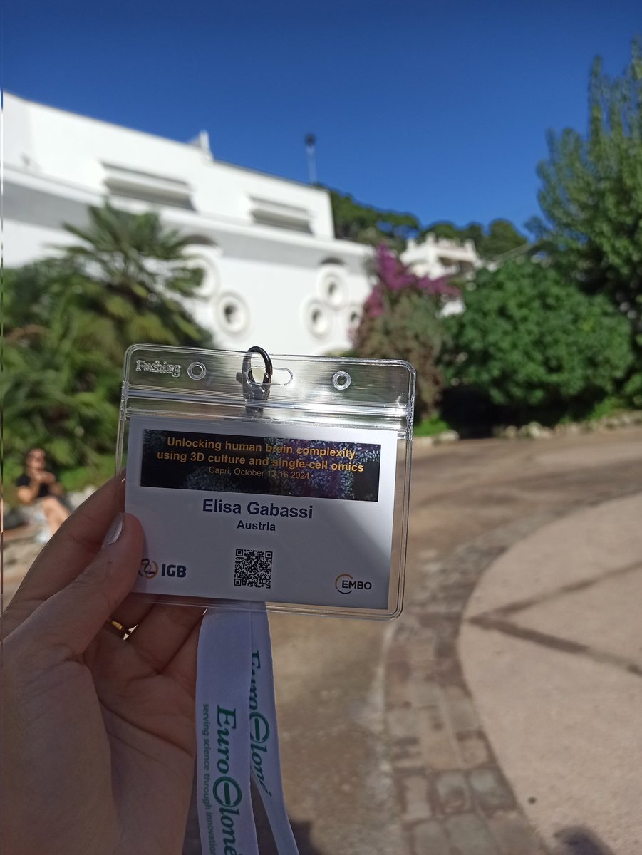 ✨ I had an amazing time at my first #EMBO workshop in Capri, surrounded by true experts in 3D models and cutting-edge technologies and creating new connections and friends! 🧫 I am bringing back a lot of ideas and inspiration for the next months to <a href="/StemCellUibk/">Edenhofer lab</a>
