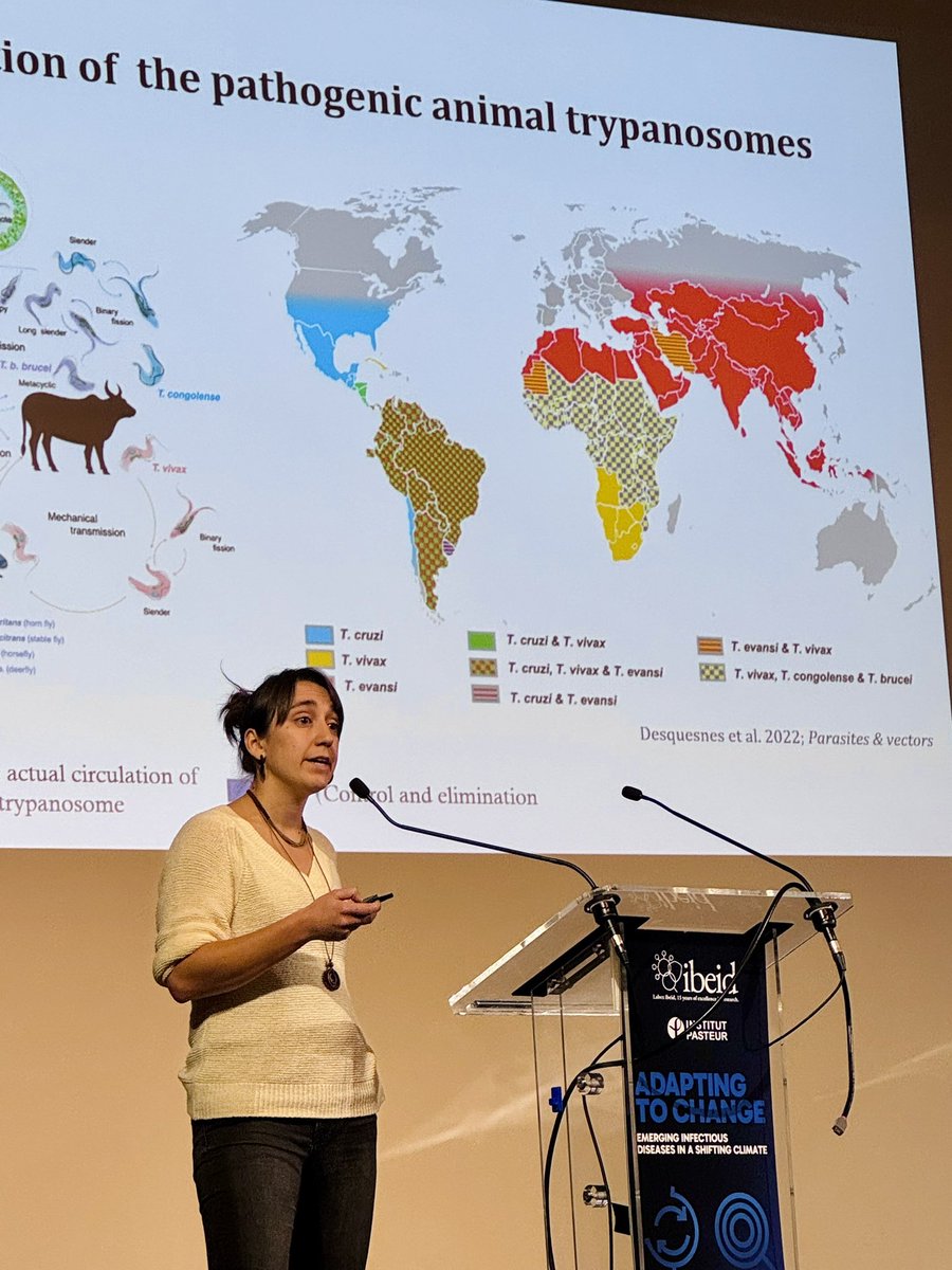 Labex IBEID (@ibeidlabex) on Twitter photo Now exploring the development of SHERLOCK CRISPR/cas13 toolbox for surveillance of animal African Trypanosomiasis with Elena Perez Anton from the lab of our IBEID partner <a href="/Glover_Tryplab/">Lucy Glover</a>
#parasite #onehealth #science #trypanosoma
<a href="/institutpasteur/">Institut Pasteur, since 1887</a> Now exploring the development of SHERLOCK CRISPR/cas13 toolbox for surveillance of animal African Trypanosomiasis with Elena Perez Anton from the lab of our IBEID partner <a href="/Glover_Tryplab/">Lucy Glover</a>
#parasite #onehealth #science #trypanosoma
<a href="/institutpasteur/">Institut Pasteur, since 1887</a>