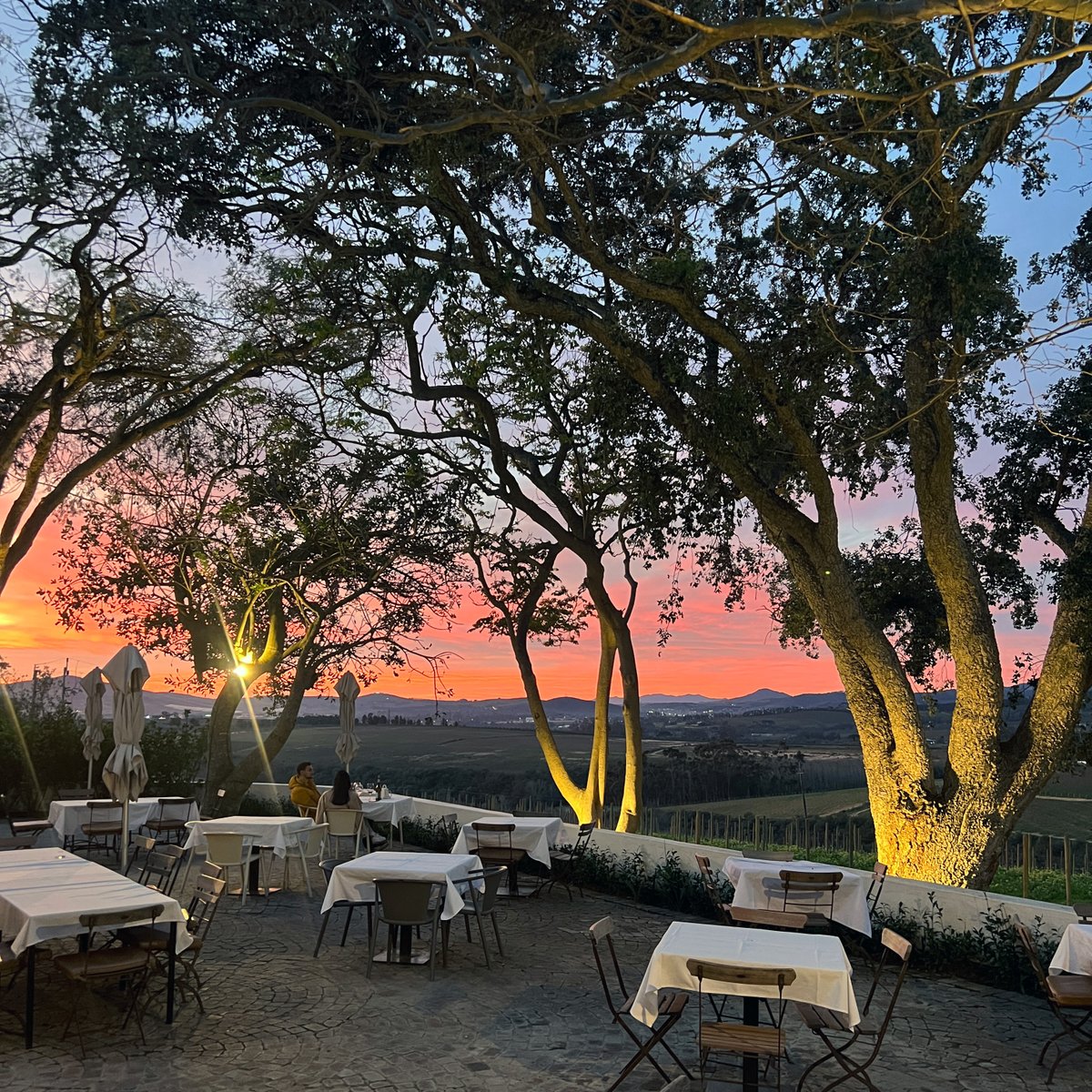 Stellenbosch Reserve tweet media