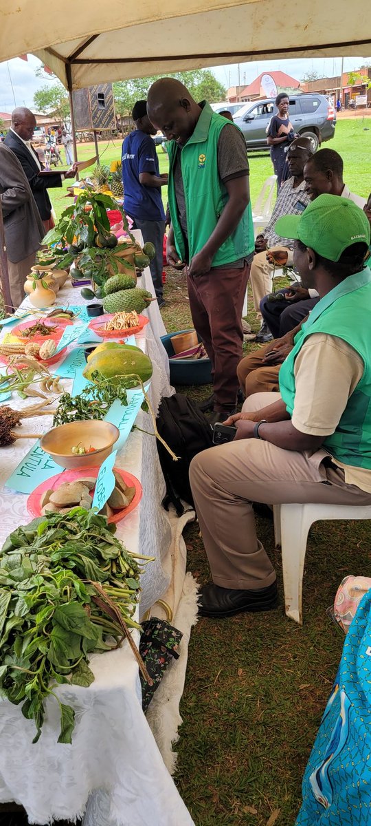 NARO_MUZARDI's tweet photo. Happening now, Diversity seed Fair taking place at Kangulumira Town Council, Kayunga district. #localseed #foodsecurity #nutrition on display. @FAOUganda @MAAIF_Uganda @narouganda @BarbaraZawedde @FredBwino https://t.co/ES4RnnhVrN